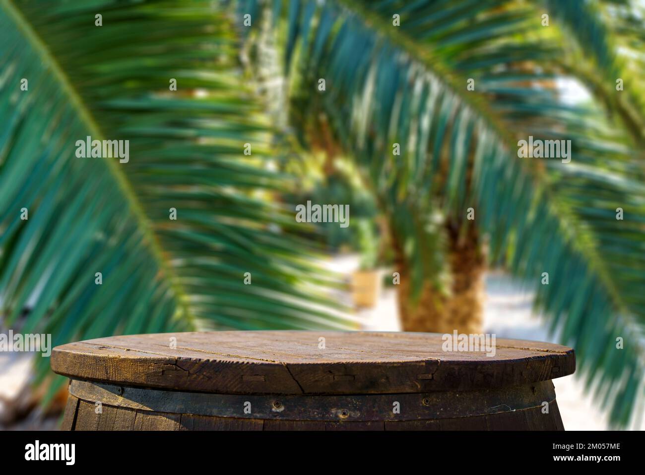 Jungle table background. Rustic wooden table against the backdrop of tropical plants, palms and jungle. . High quality photo Stock Photo