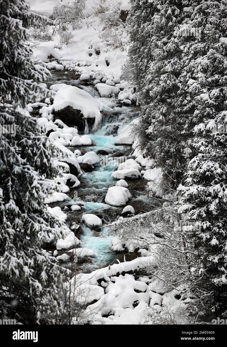 Beautiful scenery of the turquoise mountain water river and bridge near spruce trees forest in Tien Shan, Almaty Kazakhstan. Stock Photo