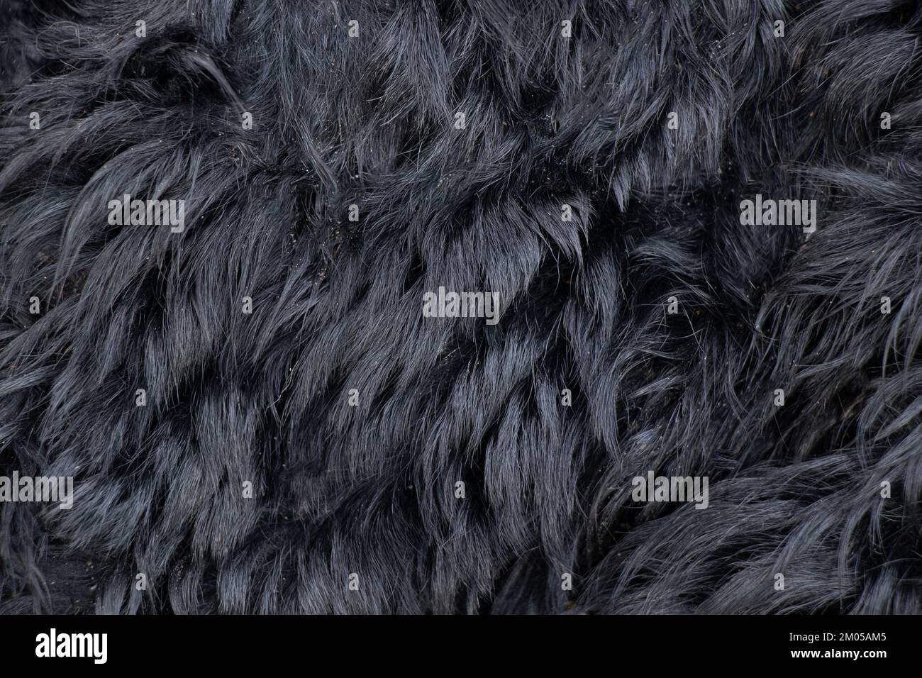 fur black fur coat as background close-up Stock Photo - Alamy