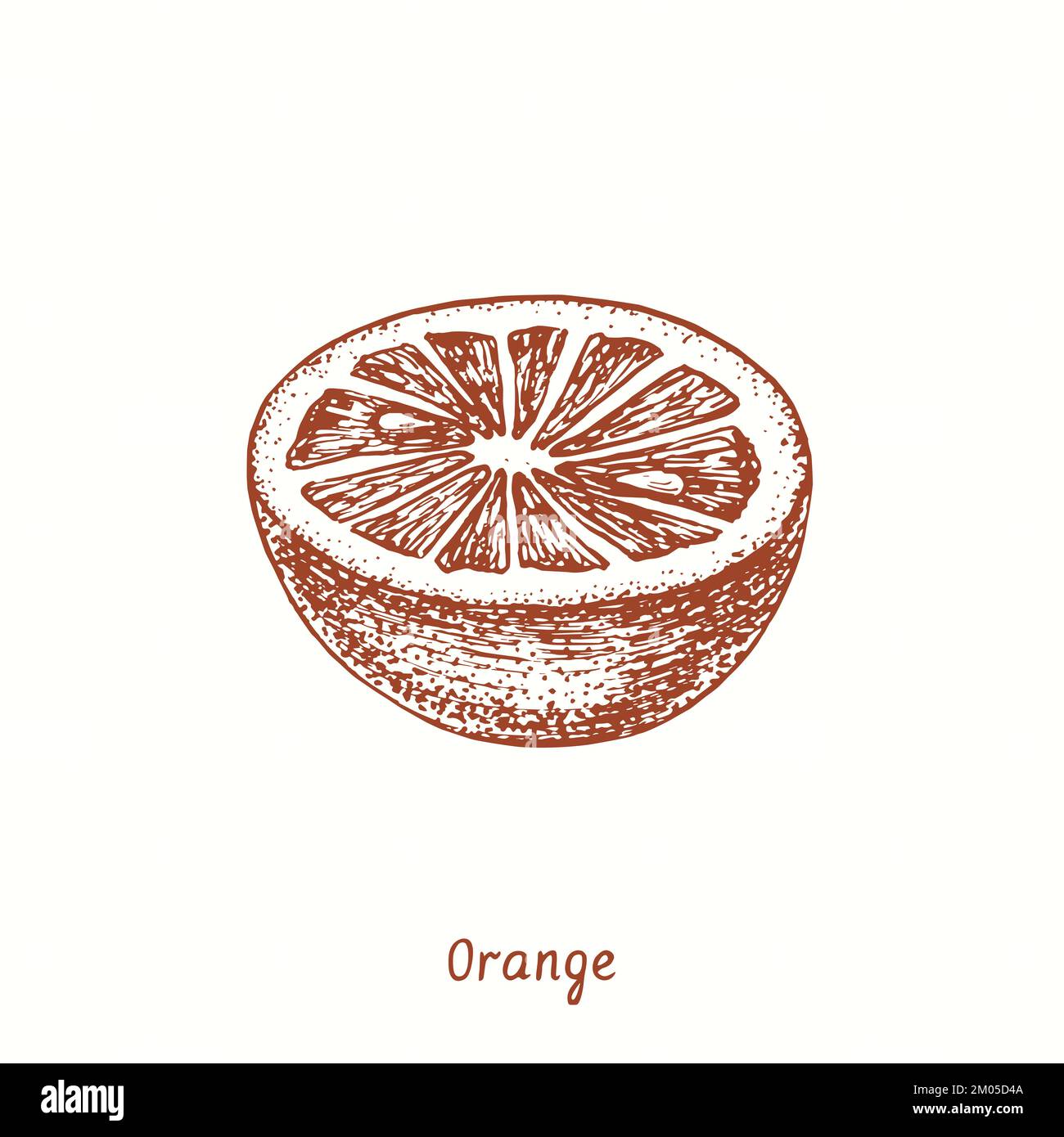 Orange fruit cut half. Ink doodle drawing in woodcut style Stock Photo