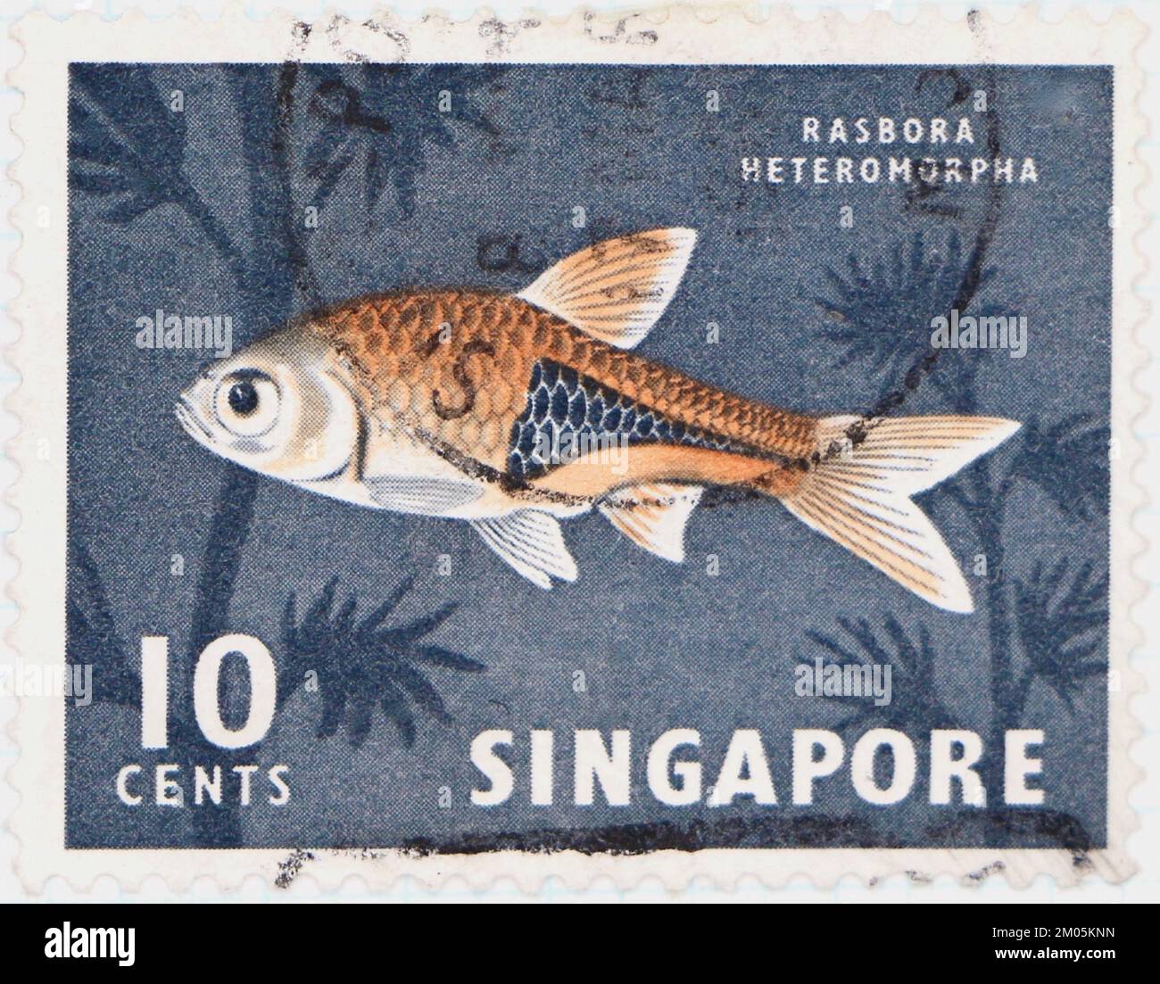 Photo of a postage stamp from Singapore Harlequin Rasbora Rasbora heteromorpha fish Flora and Fauna series 1962 Stock Photo