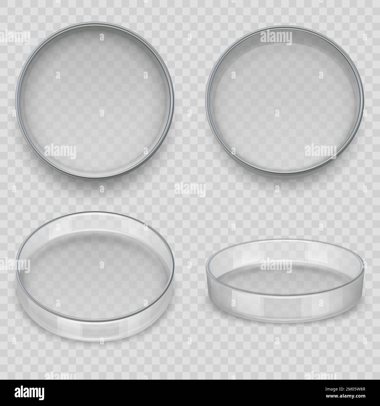 Petri Dish Realistic Transparent Dishes For Lab Experiments Medical petri-dish-realistic-transparent-dishes-for-lab-experiments-medical