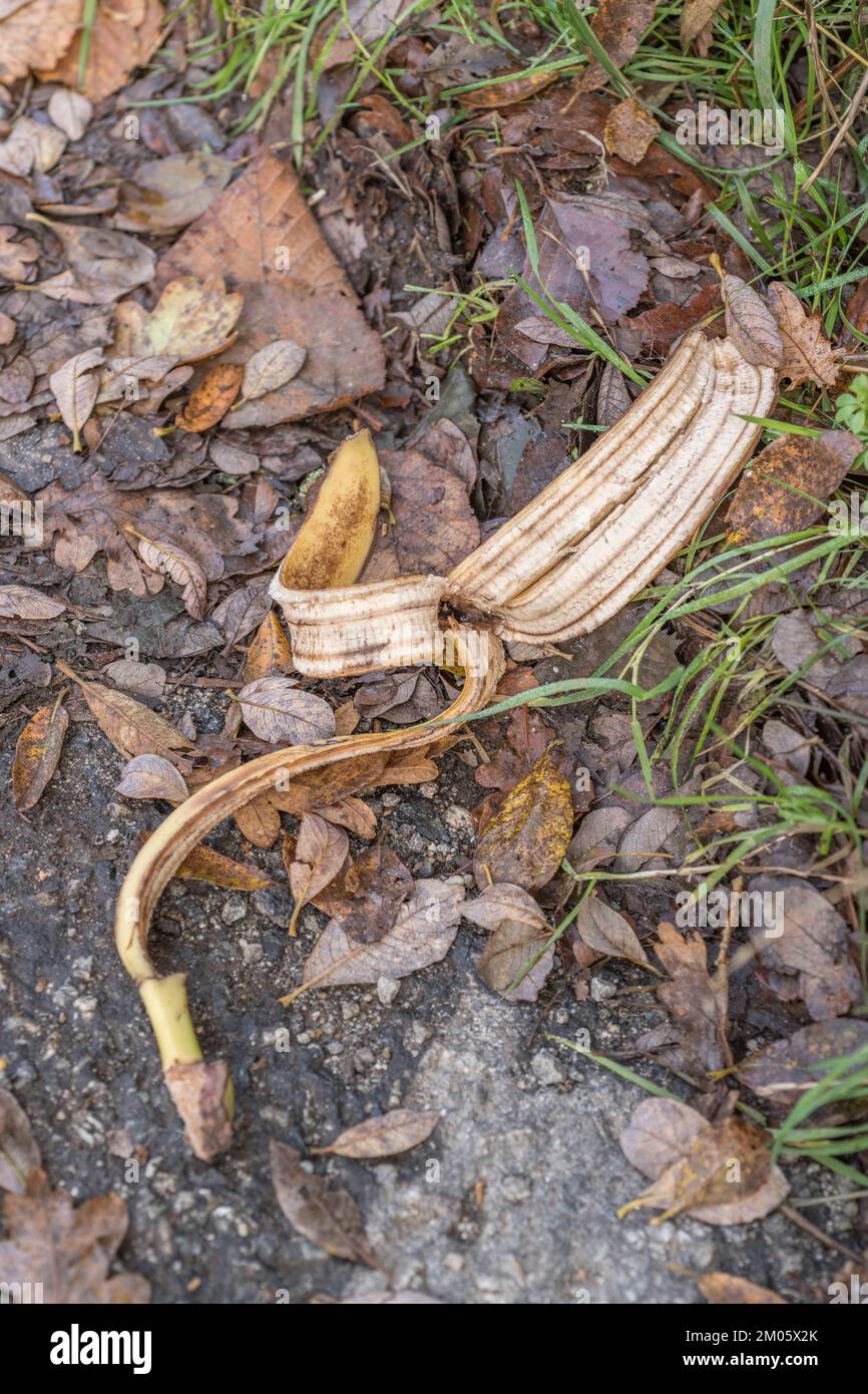 Banana skin roadside hires stock photography and images Alamy