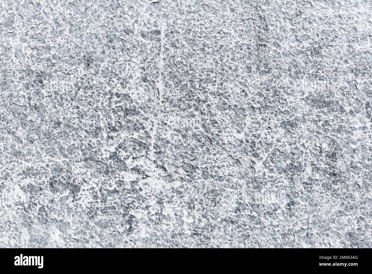 Texture of a concrete surface Stock Photo Alamy