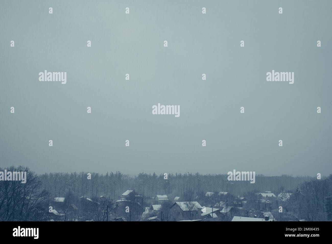 Misty landscape fir forest hi-res stock photography and images - Alamy