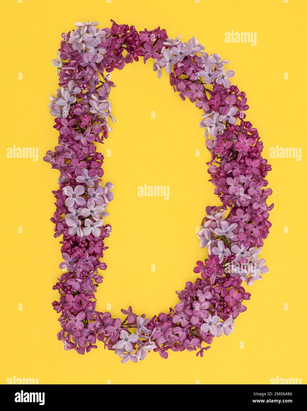 The letter D is lined with lilac flowers on a yellow background. For lettering, composing words. Stock Photo