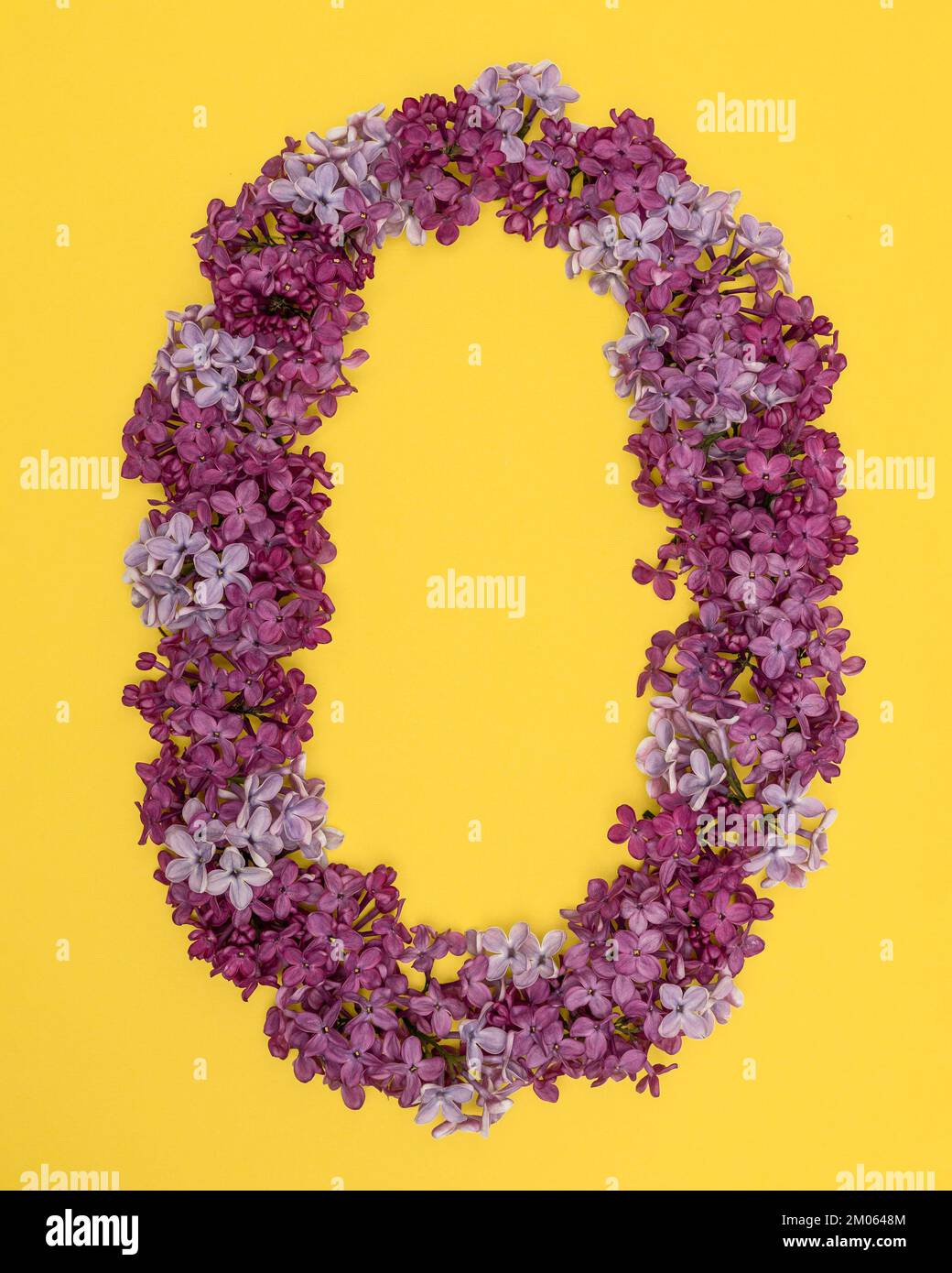 The letter D is lined with lilac flowers on a yellow background. For lettering, composing words. Stock Photo