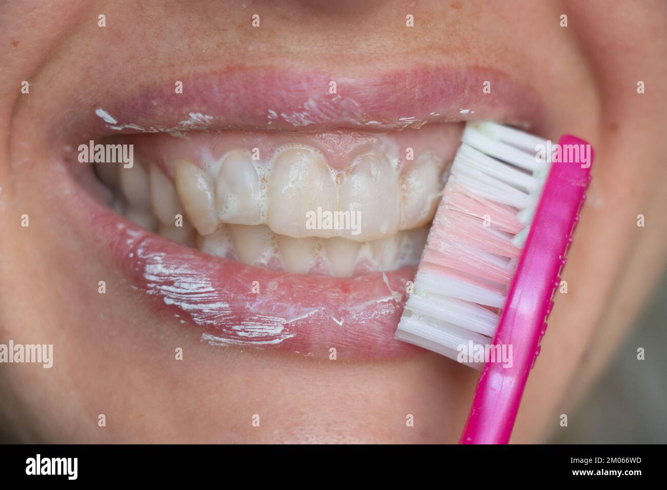 female in toothpaste on an isolated background Stock Photo Alamy