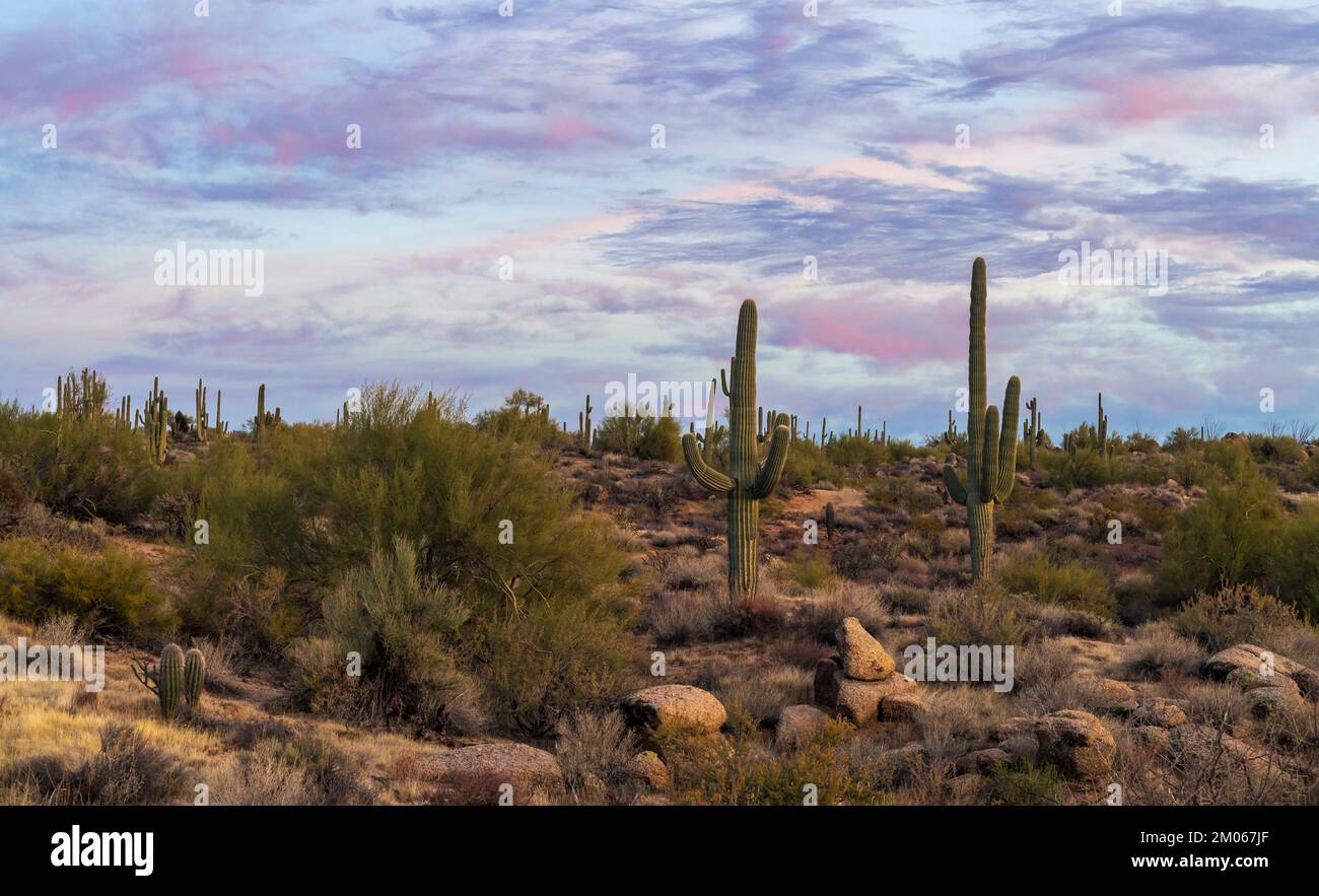 Arizona Desert Landscape With Colorful Clouds In Background At Sunset ...