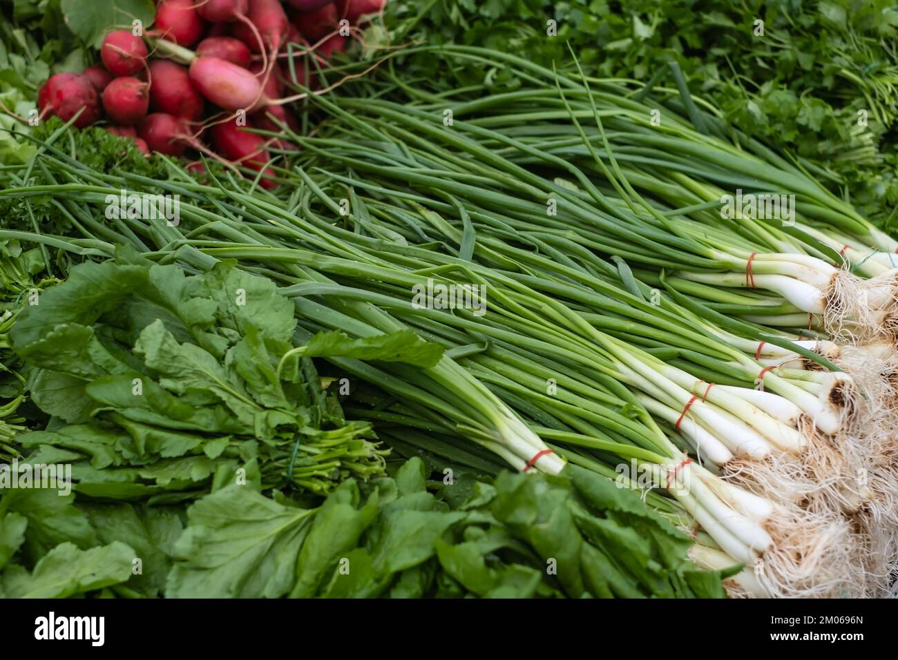 Bunches of onions on display at a farmers' market Stock Photo - Alamy