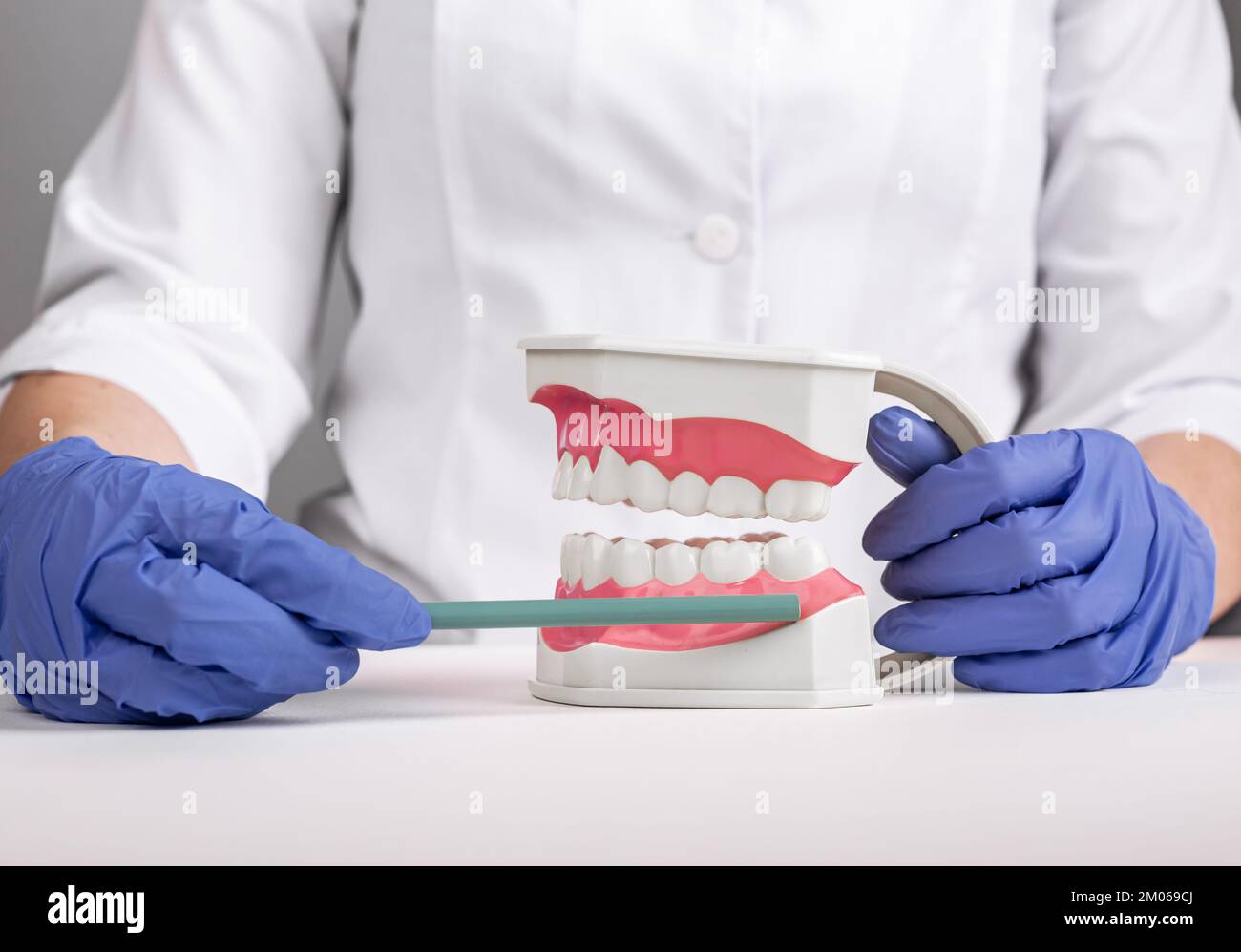 Wisdom tooth, third molar concept. Dentist surgeon showing teeth model