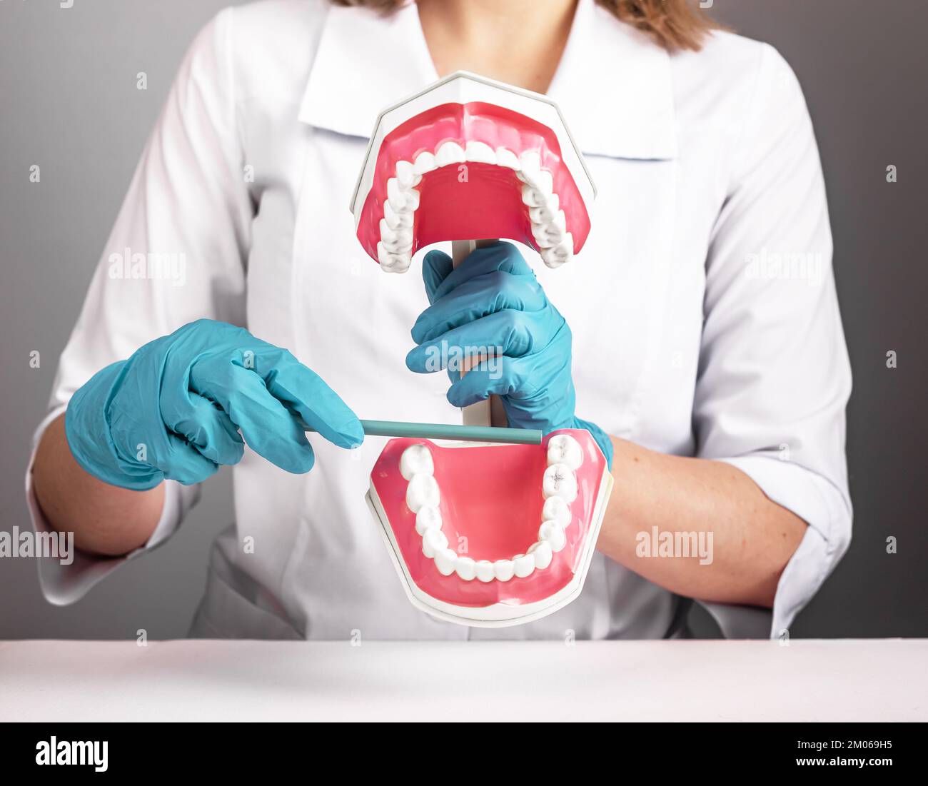 Wisdom tooth, third molar concept. Dentist surgeon showing teeth model