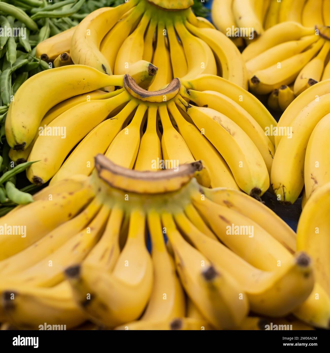 Bunch of ripened bananas at grocery store Stock Photo