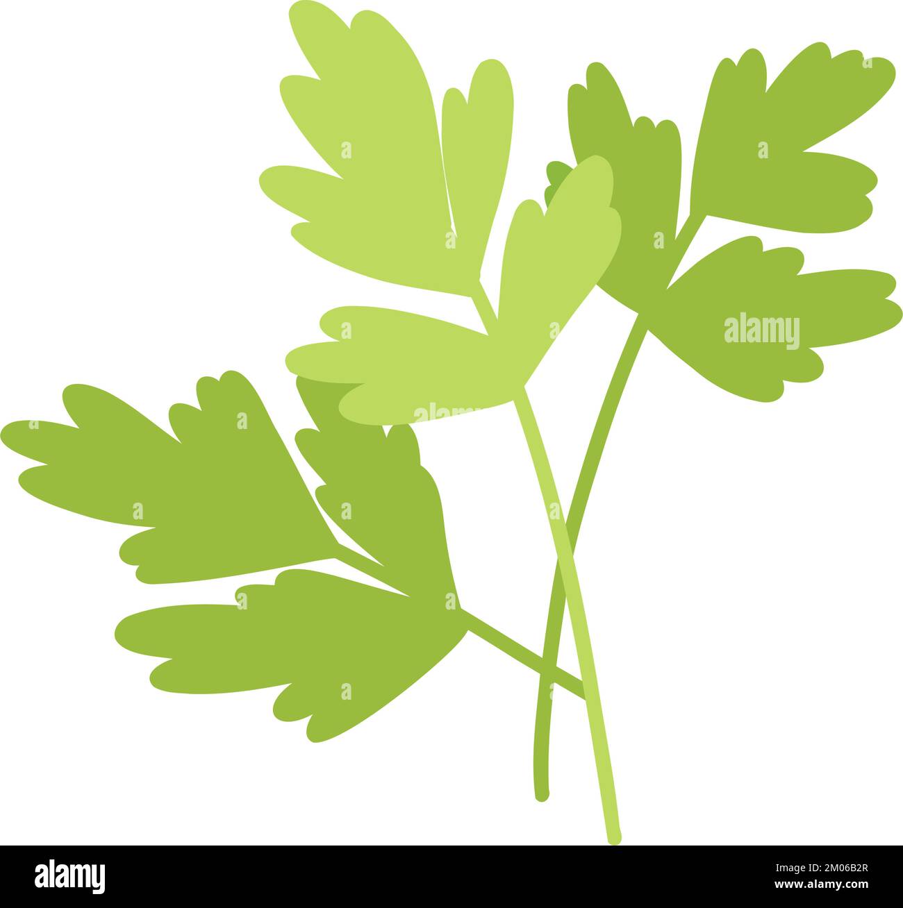 Fresh green parsley leaves in cartoon flat style. Hand drawn vector ...