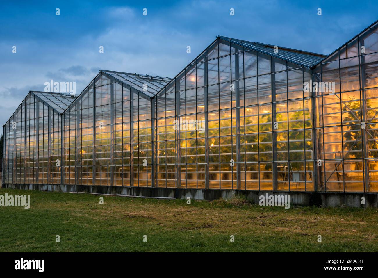 Illuminated greenhouses at dusk, heated with geothermal energy, Iceland Stock Photo