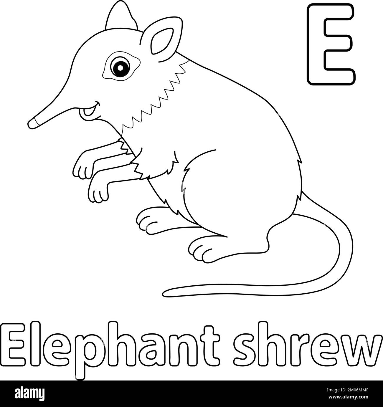 Elephant Shrew Alphabet ABC Isolated Coloring E Stock Vector