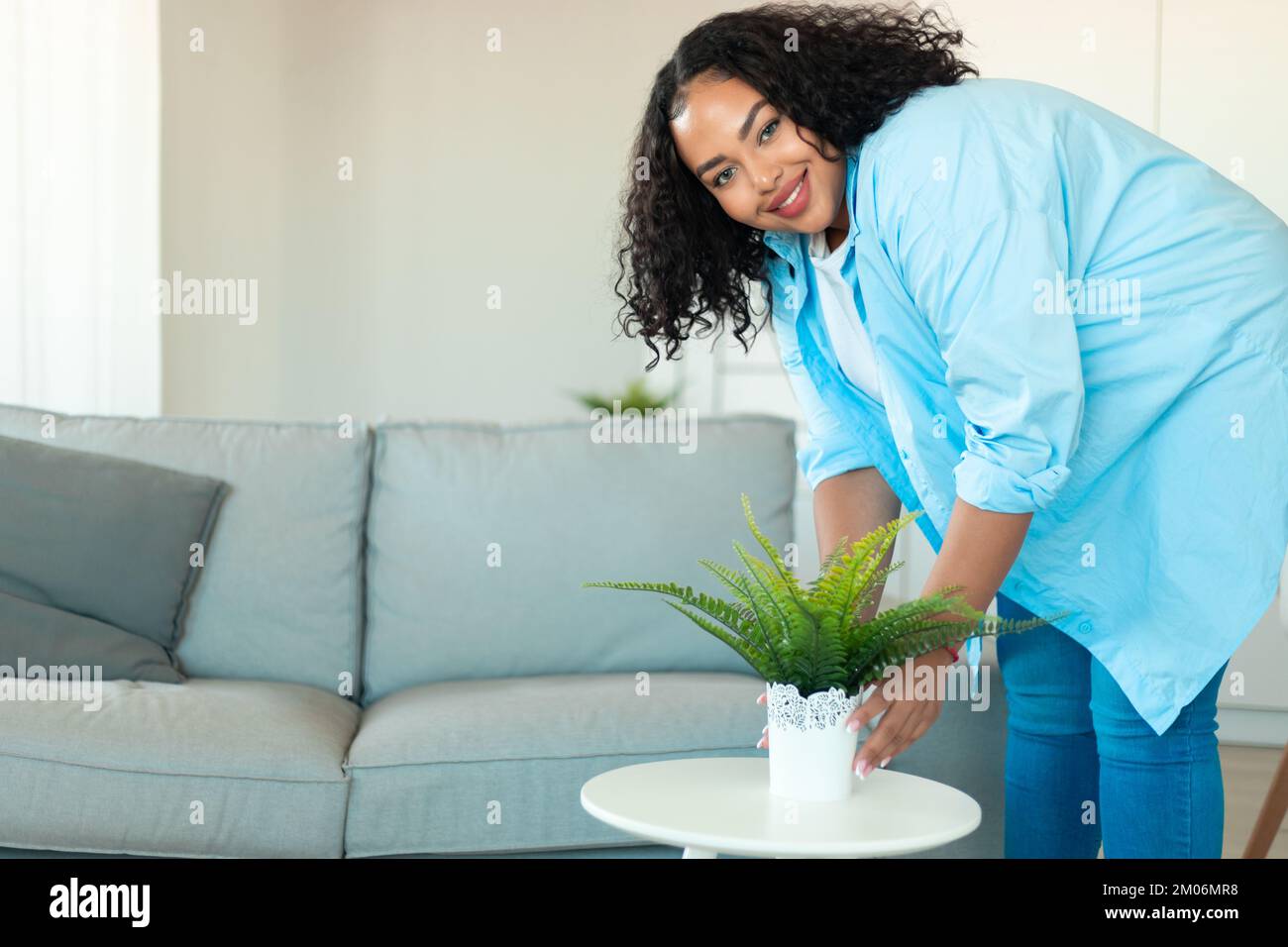 African american chubby woman putting plant on tea table in living room and taking care of coziness in her apartment Stock Photo
