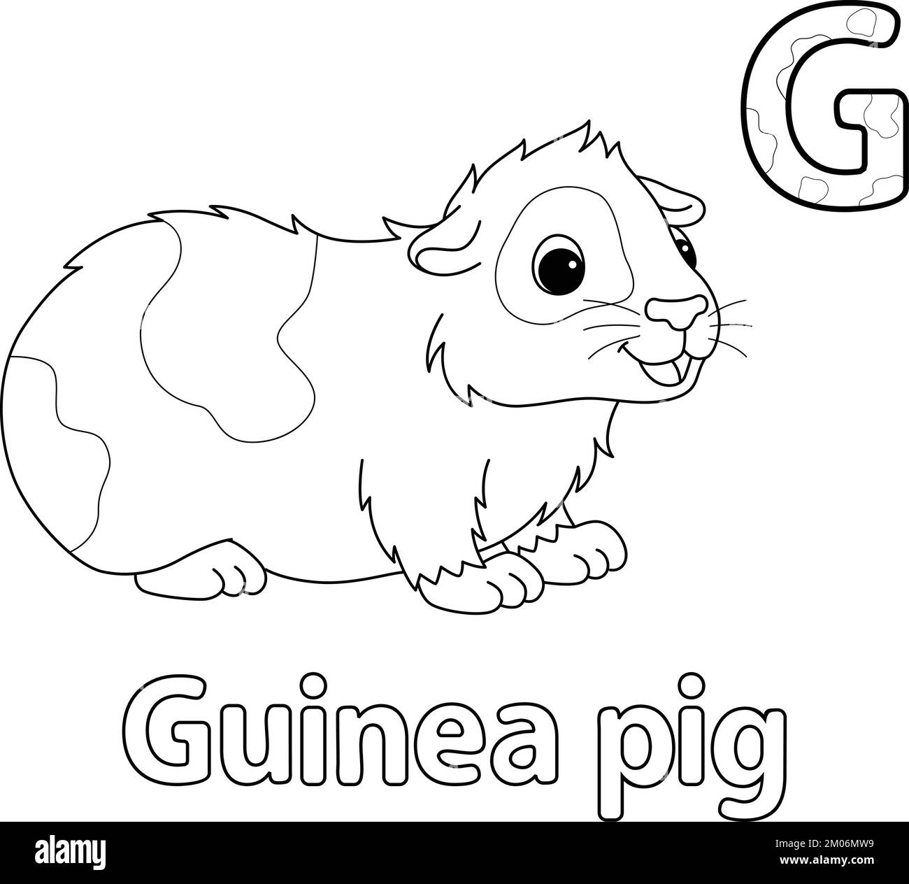 Guinea pig alphabet abc isolated coloring page g stock vector image