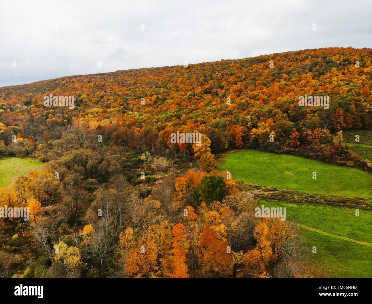 The aerial view of the stunning fall foliage near Upstate New York, U.S