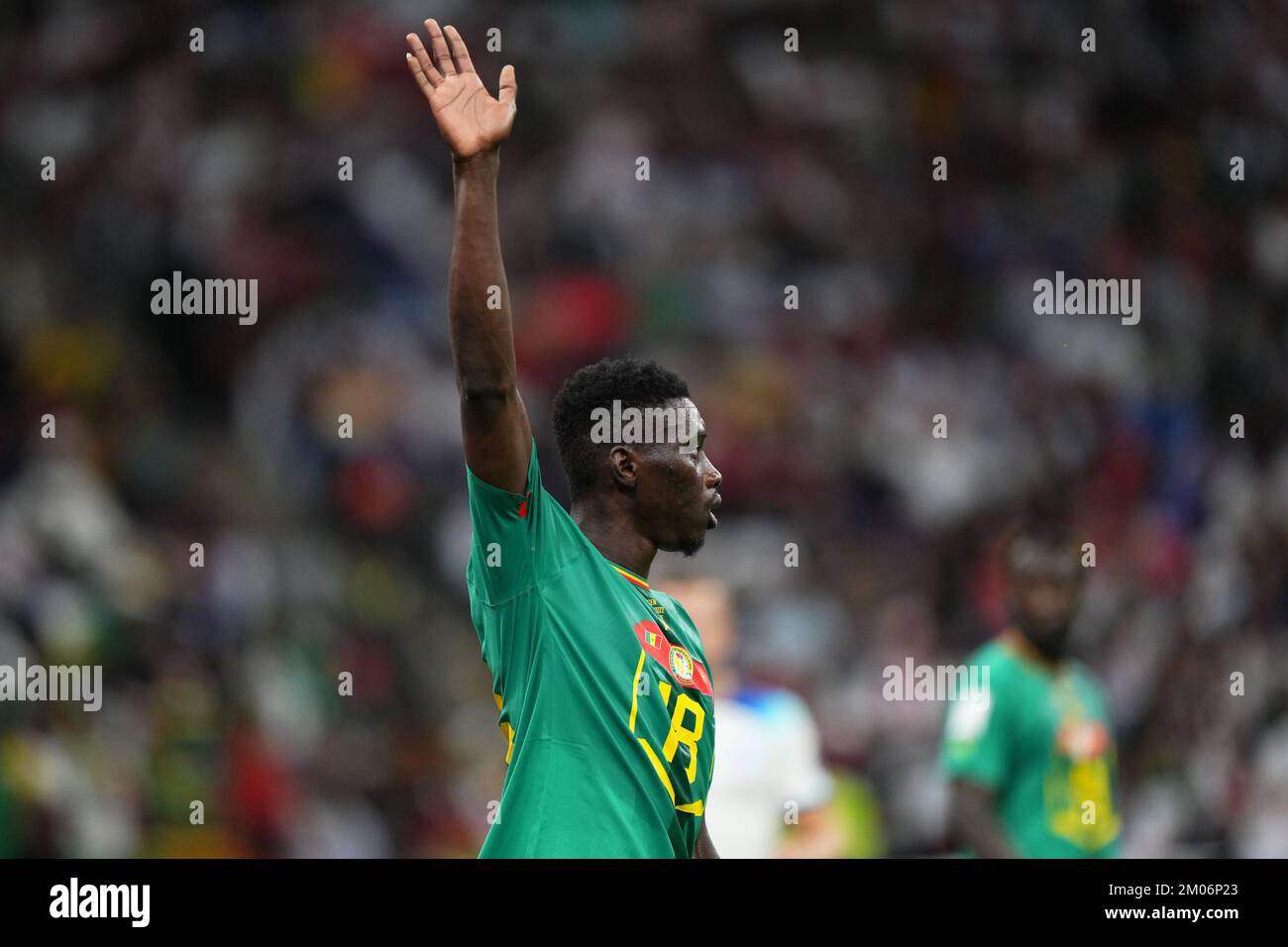 Al Khor, Qatar. 04th Dec, 2022. Ismalia Sarr of Senegal during the FIFA World Cup, Qatar., . in Al Khor, Qatar. (Photo by Bagu Blanco/PRESSIN) Credit: PRESSINPHOTO SPORTS AGENCY/Alamy Live News Stock Photo