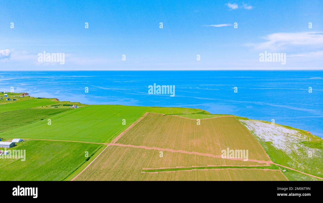 Farming Land Surrounded by Ocean, Prince Edward Island, Canada Stock