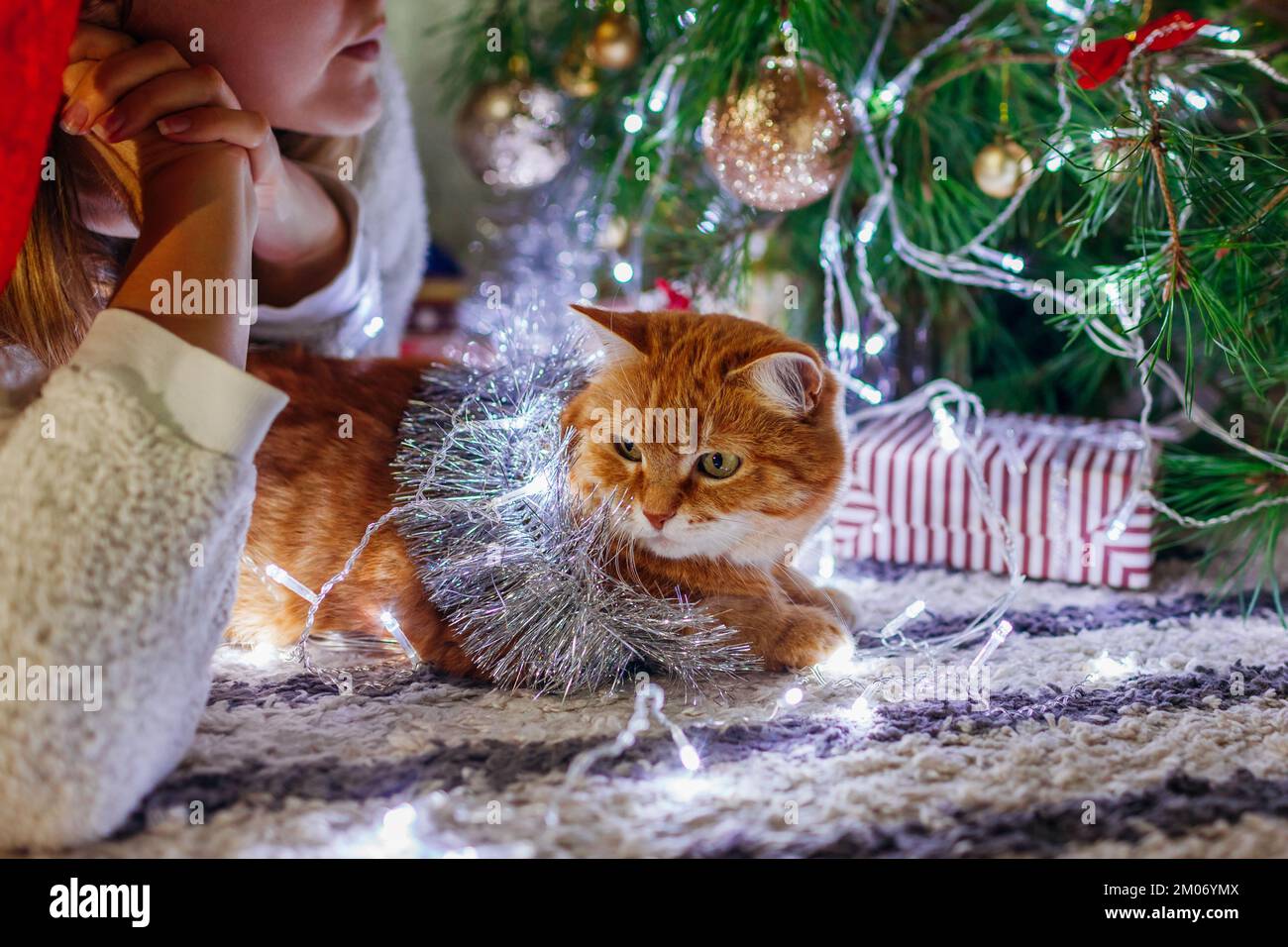 Christmas celebration with cat. Woman admiring decor by New year tree at home covered with tinsel and lights. Celebrating holidays alone Stock Photo