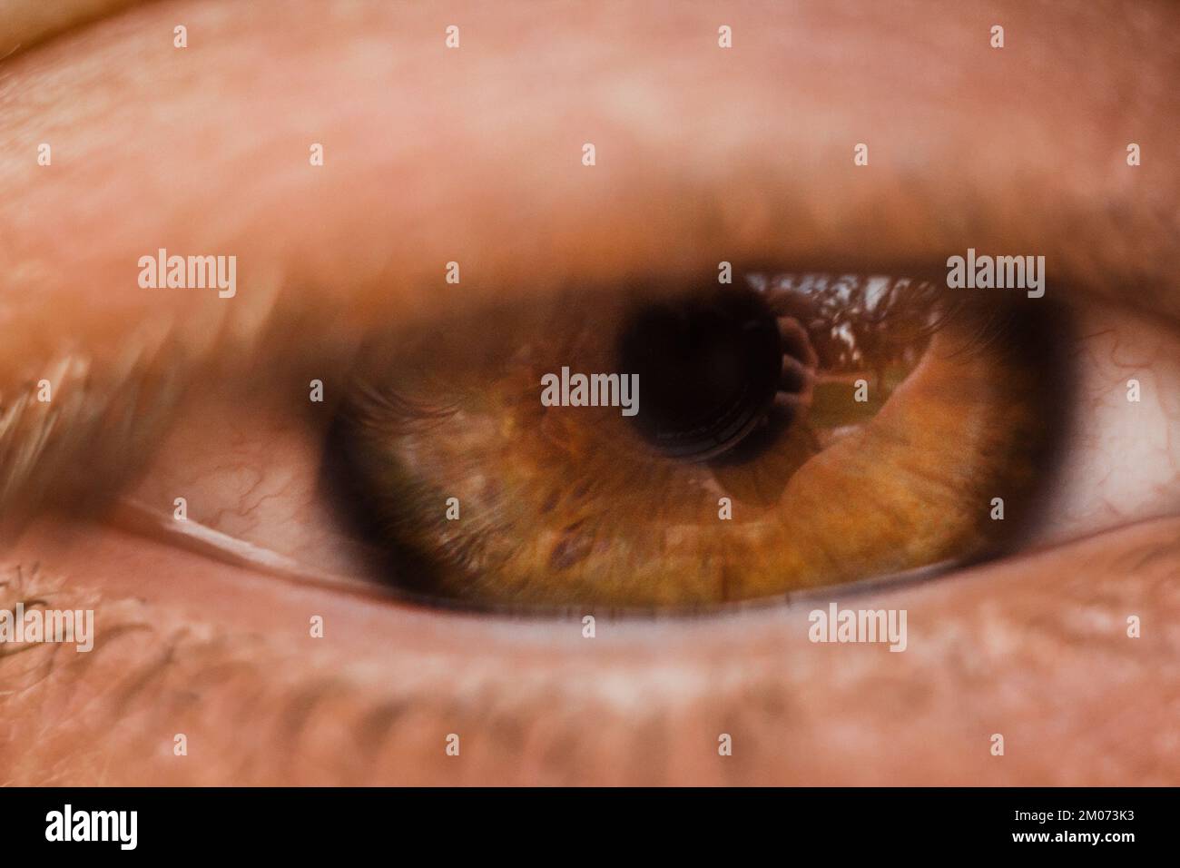 male eye close up. man looks into the frame. brown iris in macro. Stock Photo