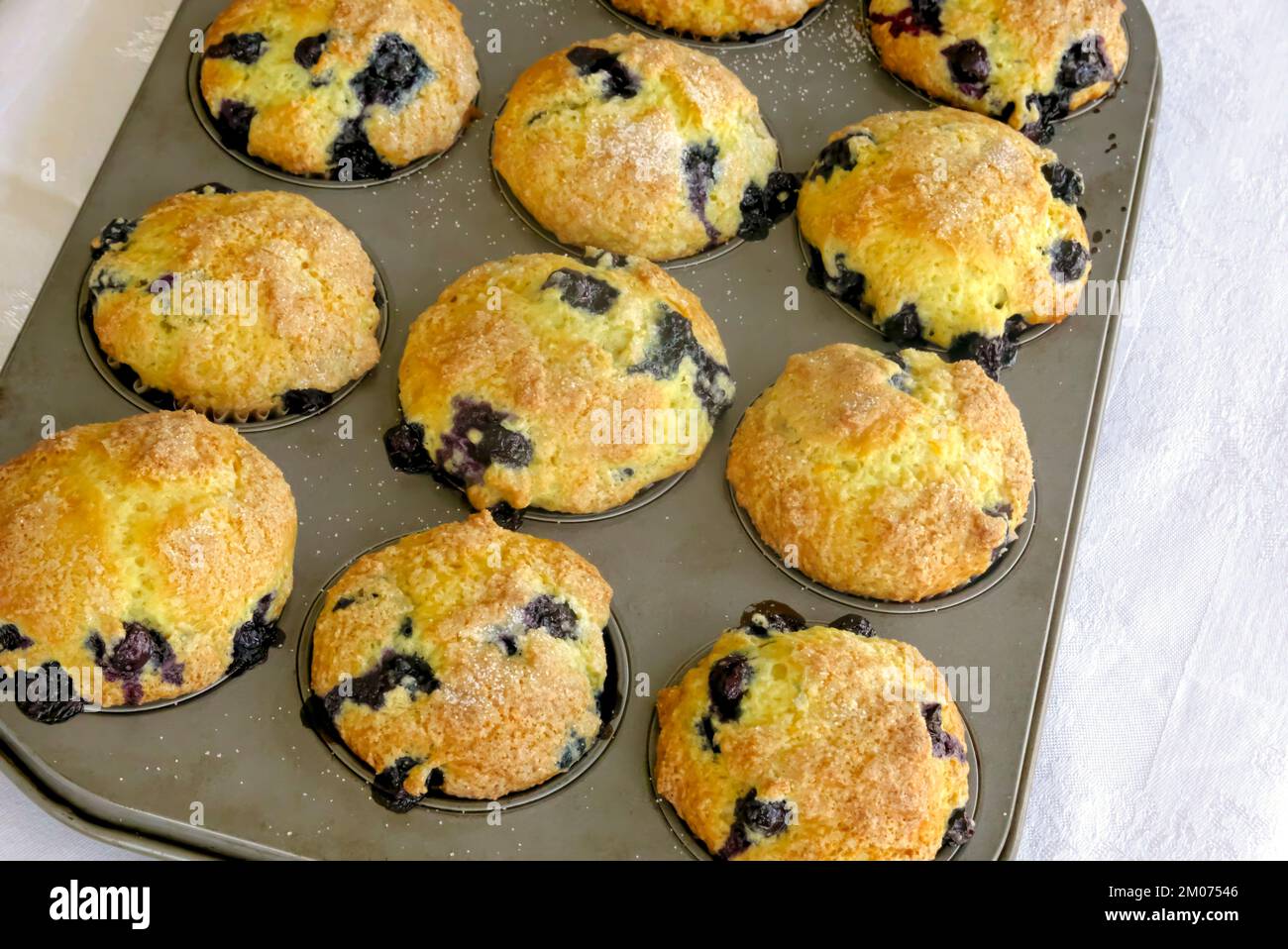 Freshly baked homemade Blueberry Orange Muffins in a muffin tin. Stock Photo