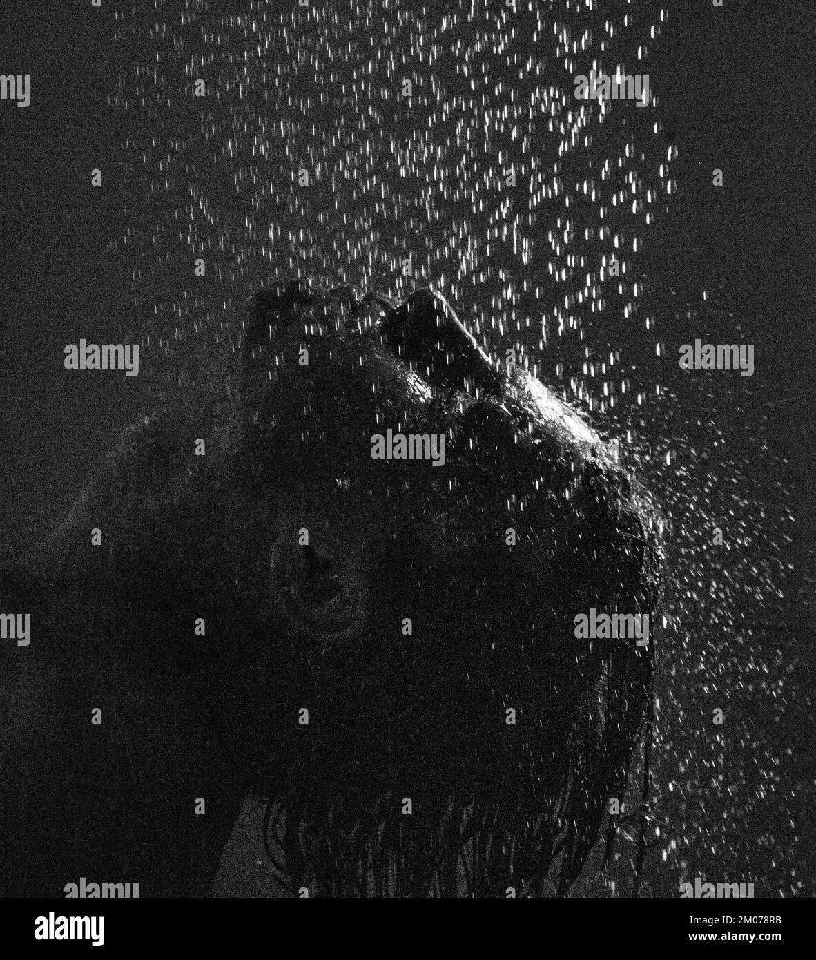Moody side profile, of a young man in the shower, depicting loss and grief Stock Photo