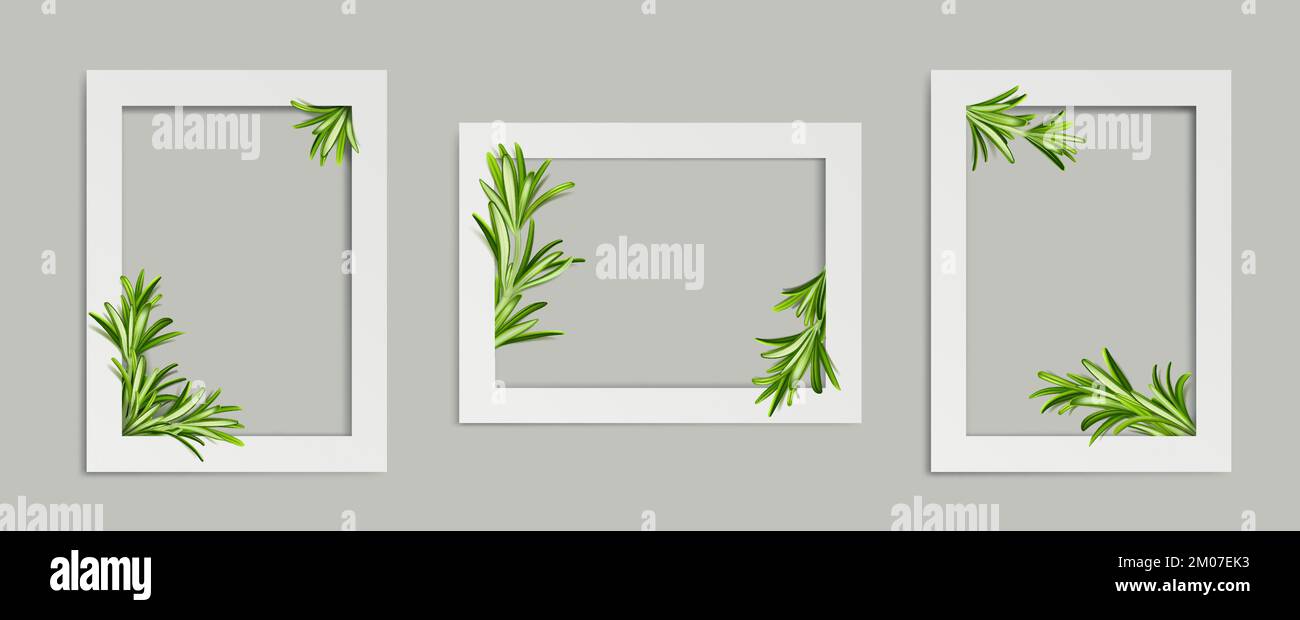 Rosemary photo frames, white rectangular border templates with green