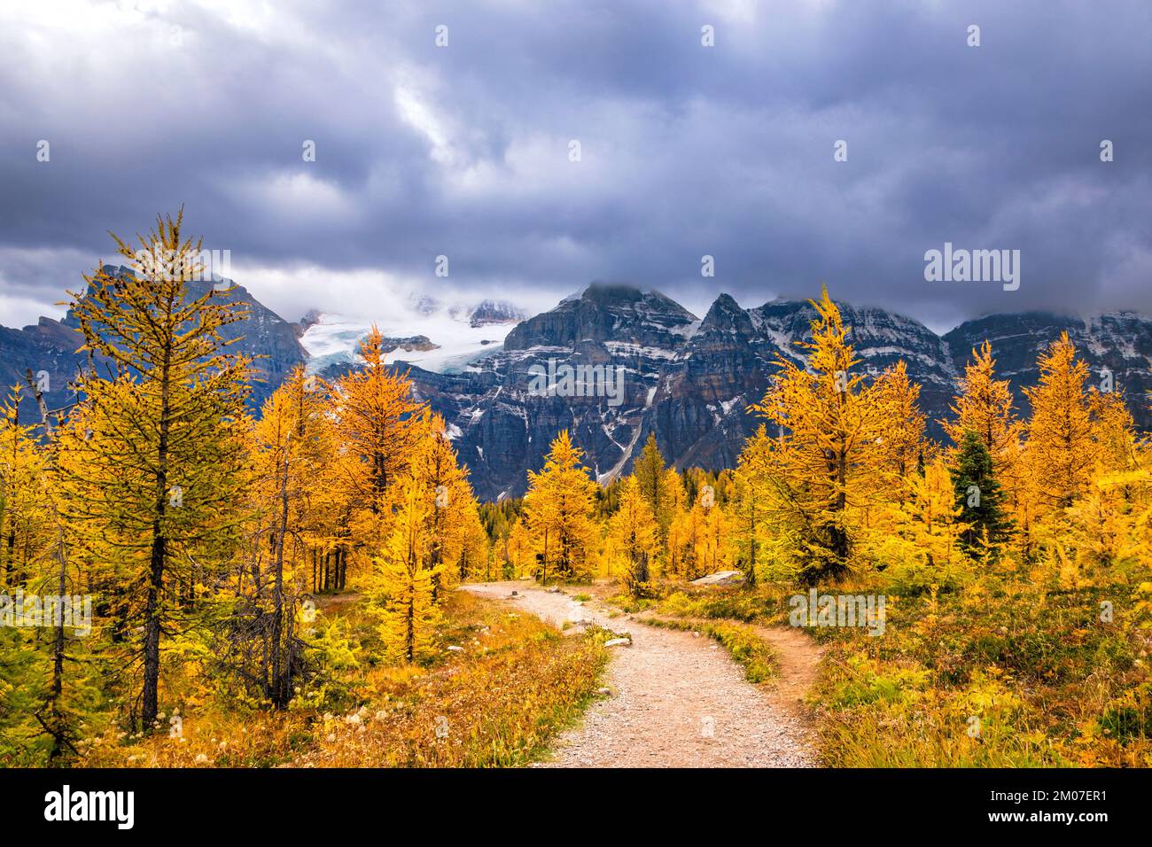 Classic autumn colors hi-res stock photography and images - Alamy