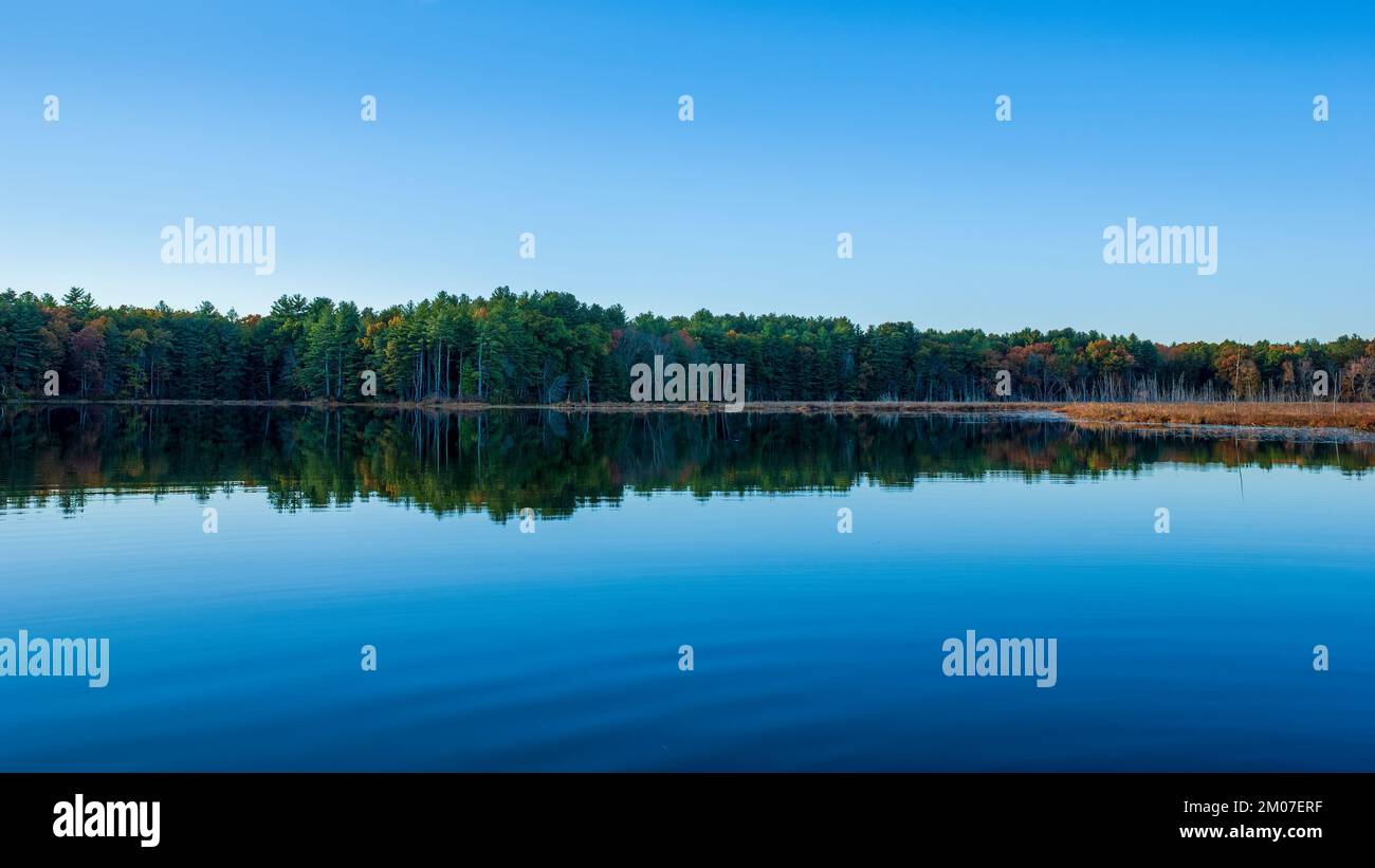 Serene landscape. Sunset on a lake. Blue waters and blue sky. Mixed forest in fall colors, reflected on calm waters. Puffer Pond, Sudbury, MA Stock Photo