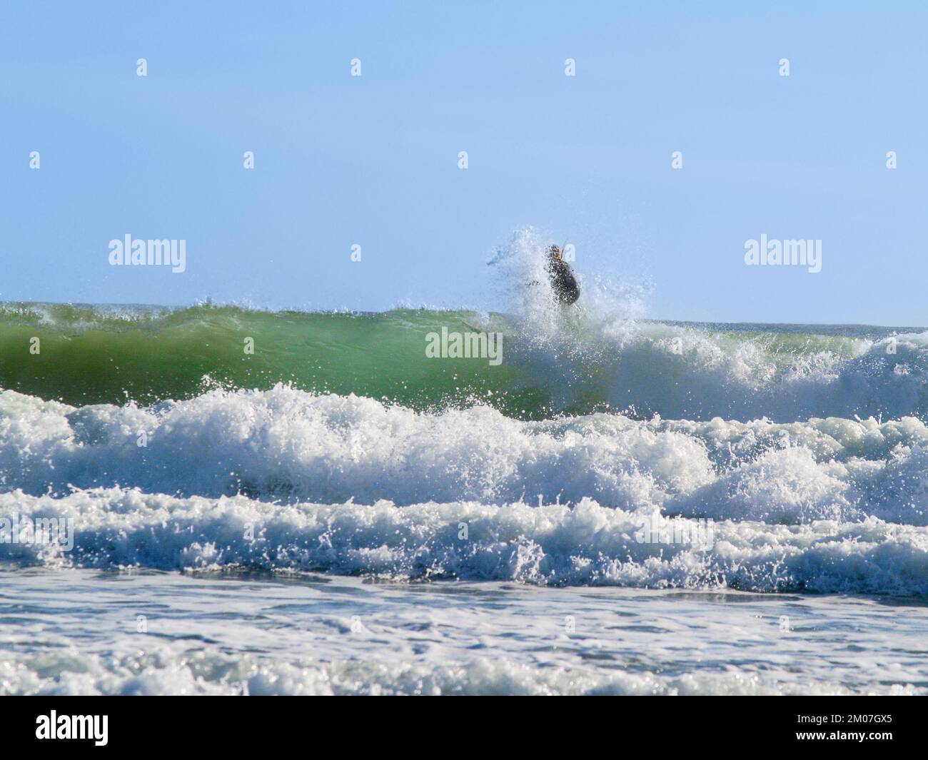 Surfer riding wave splashing hi-res stock photography and images - Alamy