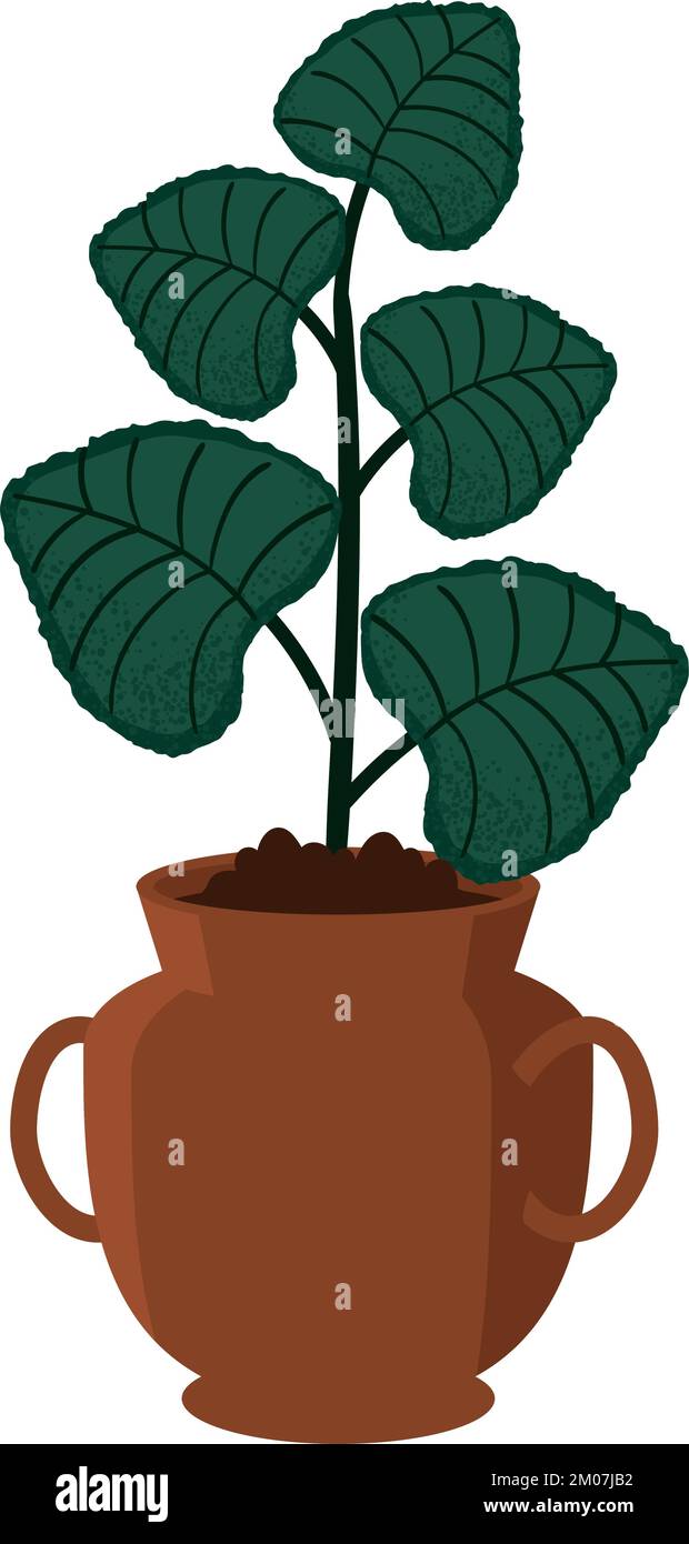 houseplant in clay pot Stock Vector Image & Art - Alamy
