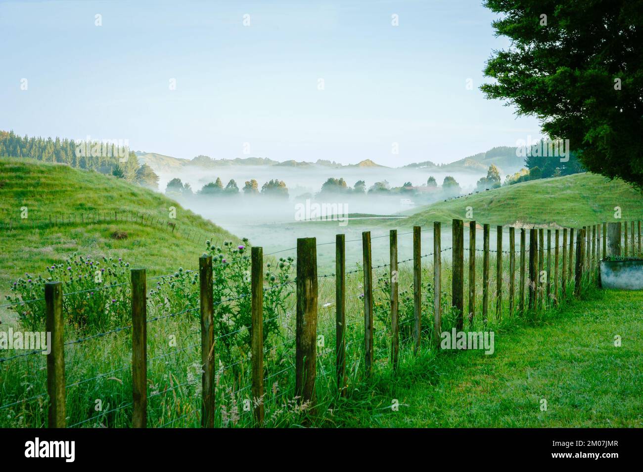 Rolling farmland with layers of mist in morning light Stock Photo - Alamy