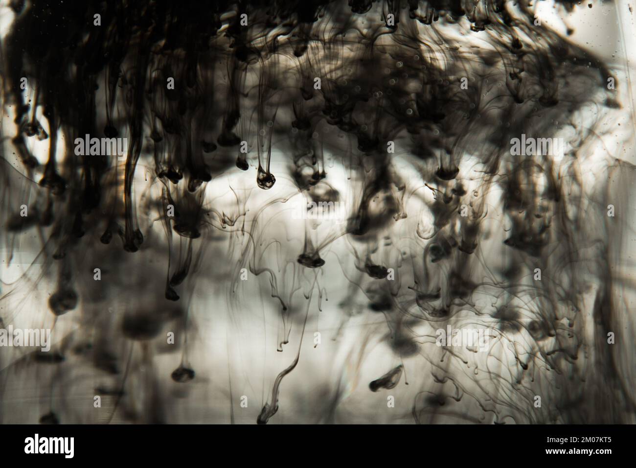 a cloud of ink in a transparent glass cup with clear water against the ...