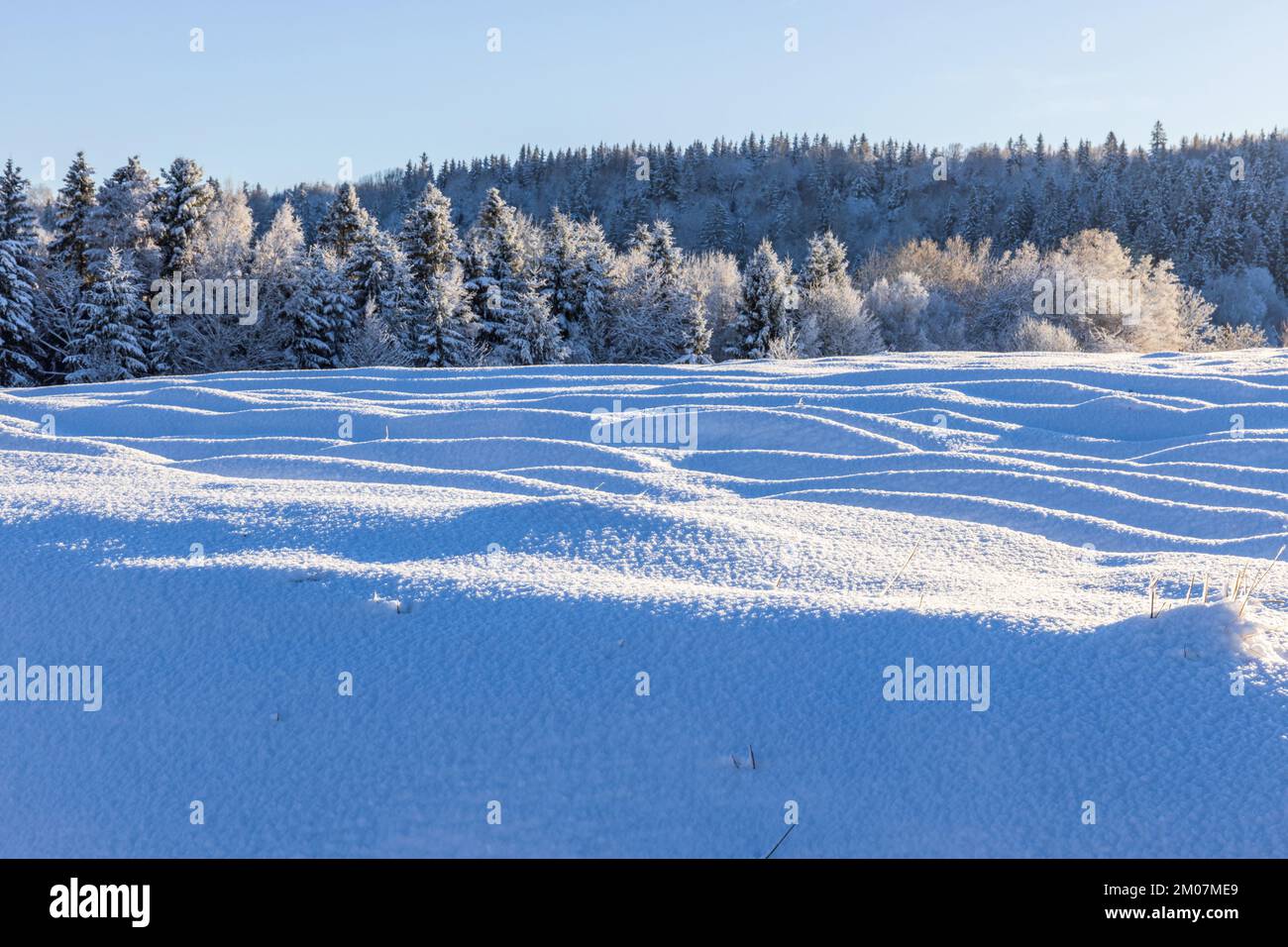 Deep Snow Pretty Sunshine and snow hi-res stock photography and images - Alamy
