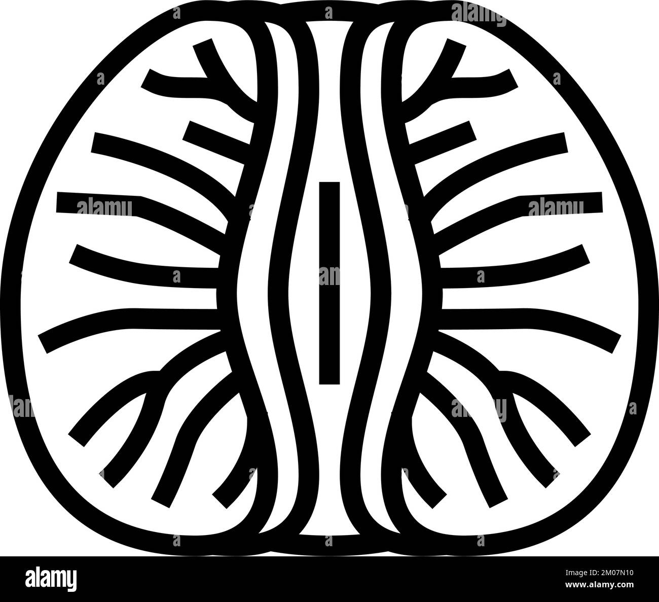 peeled tangerine slice line icon vector illustration Stock Vector Image