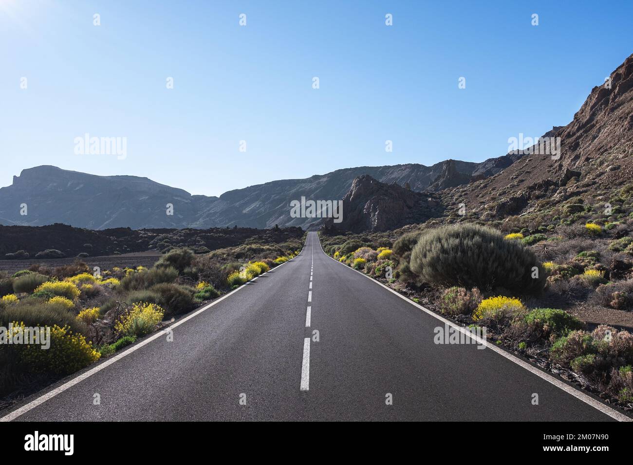 Lovely roadtrip to the Teide volcano on Tenerife Island Stock Photo
