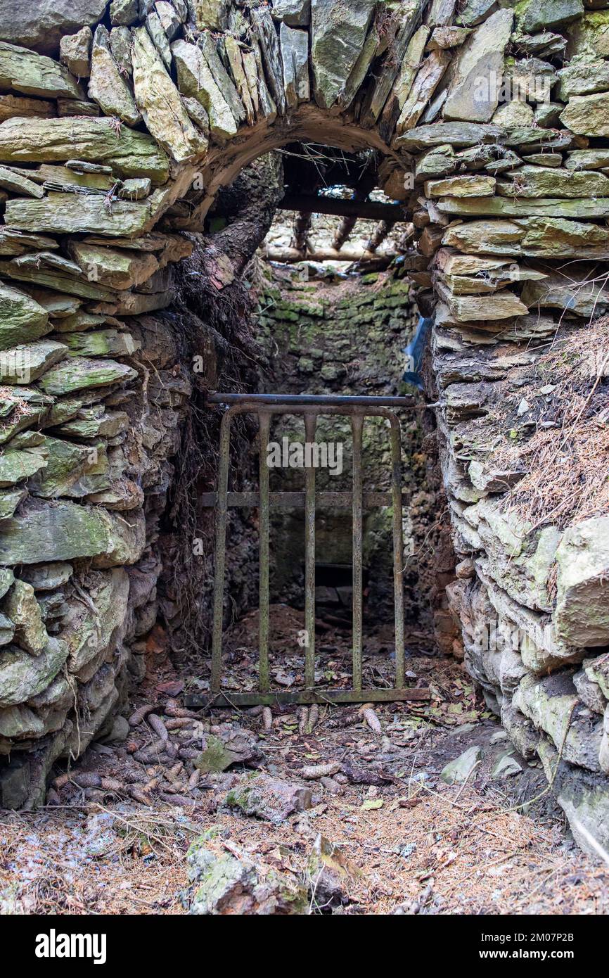 historischer Altbergbau im Harz Selketal Grube Glasebach Straßberg Stock Photo