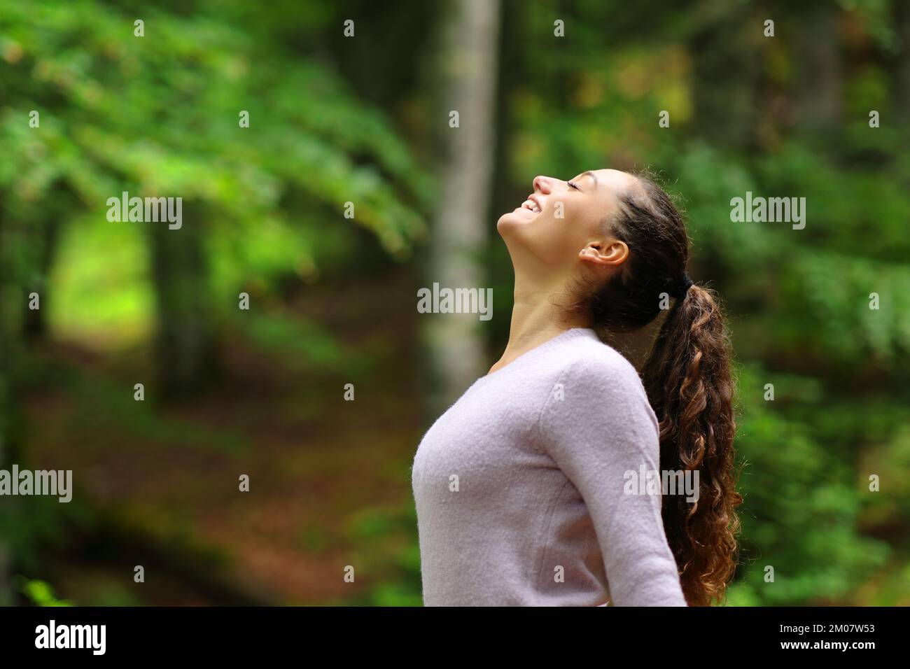 Profile of a happy woman in a forest breathing fresh air Stock Photo