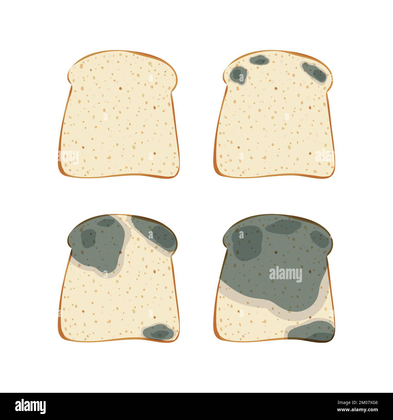 The mold on the toast bread, set isolated on white background. Stock Vector