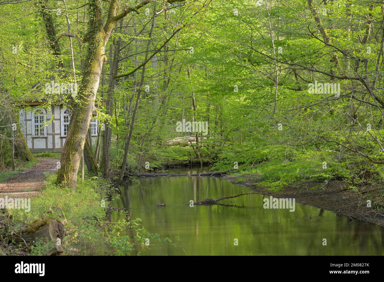 Holdenstedter hires stock photography and images Alamy