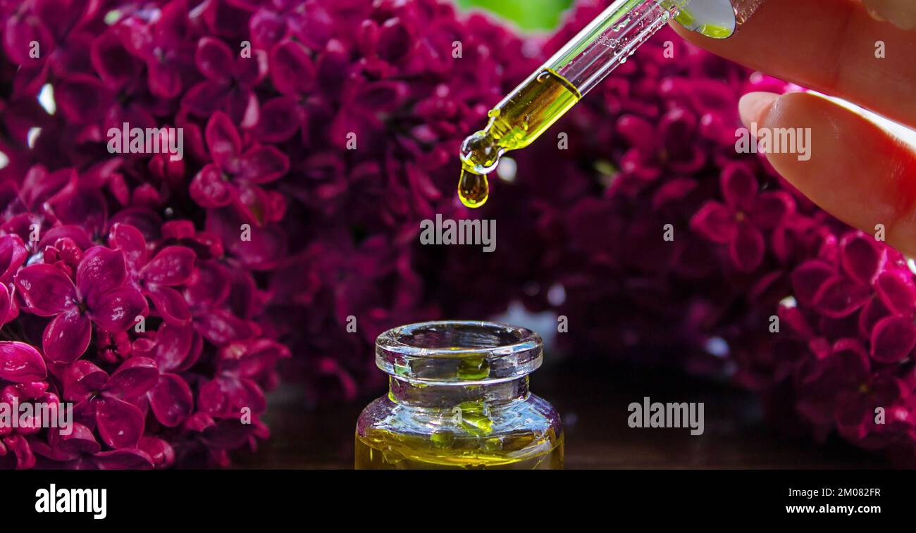 Syringa lilac, essential oil. bottle of beauty oil with lilac flowers.  Stock Photo by solovei23