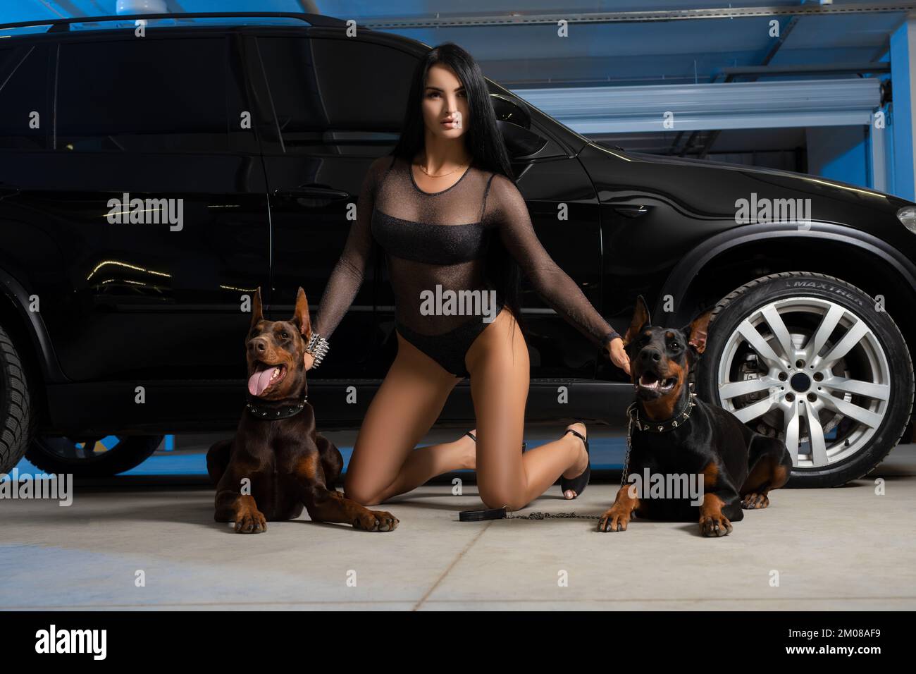 Sexy brunette with dogs near brutal black car Stock Photo