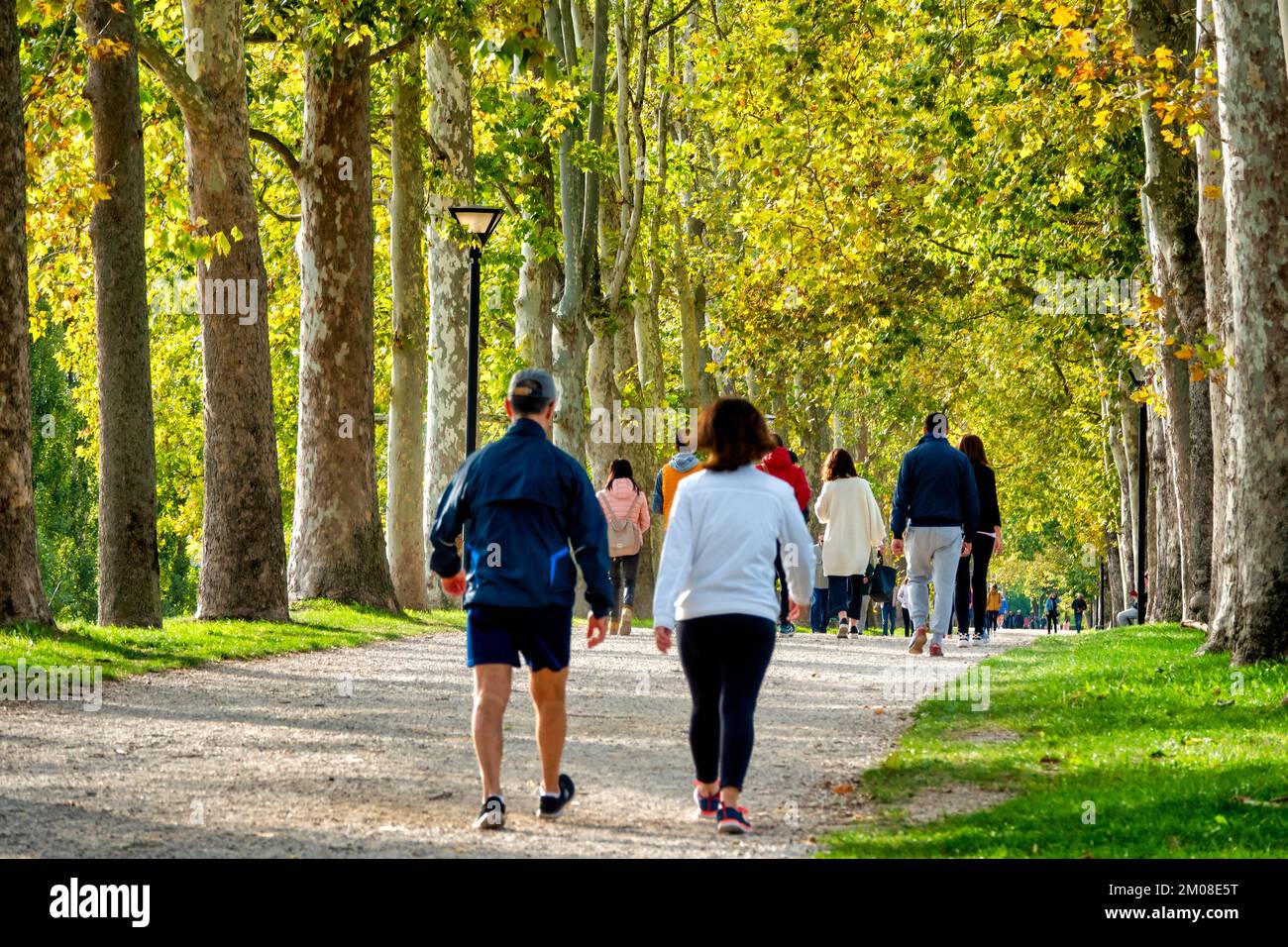 People walking throught the Rampari di Belfiore park, Ferrara, Italy Stock Photo