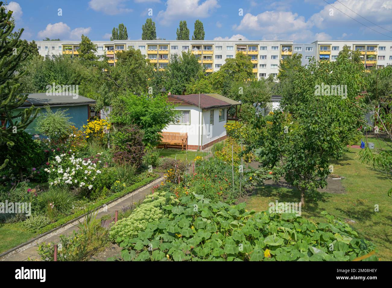 Schrebergarten, Koloniestraße, Pankow, Berlin, Deutschland Stock Photo