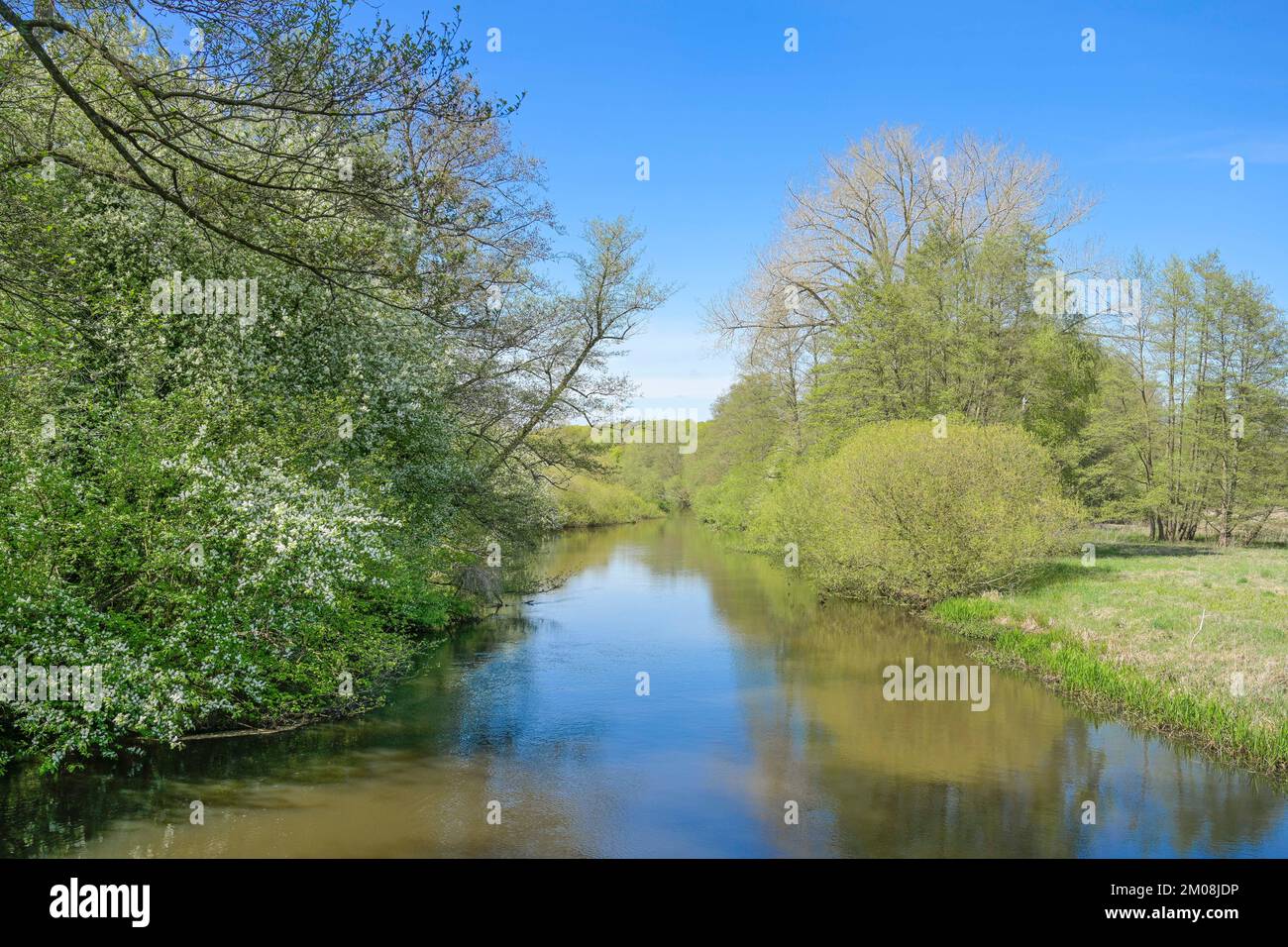 Ilmenau bei Bad Bevensen, Niedersachsen, Deutschland Stock Photo Alamy