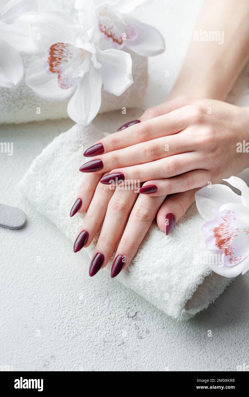 Beautiful hands of a young woman with dark red manicure on nails. Manicure process. Stock Photo
