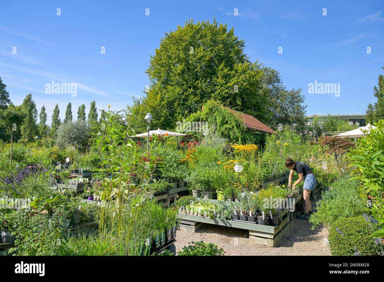 Königliche Gartenakademie, Altensteinstraße, Dahlem, Steglitz